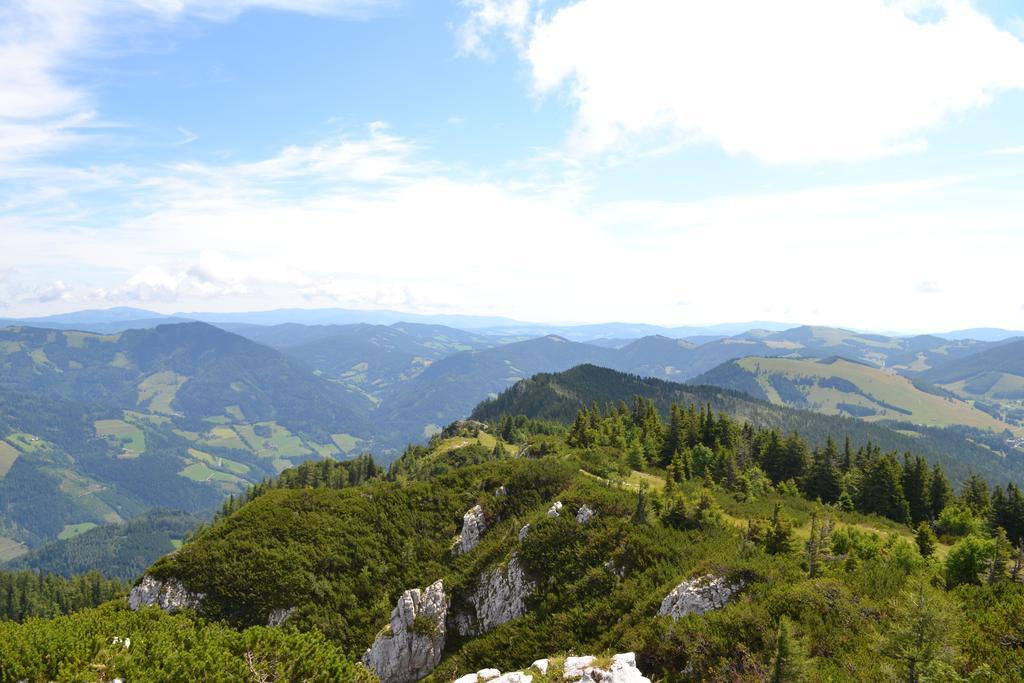 Pension Schweiger Gasen Extérieur photo