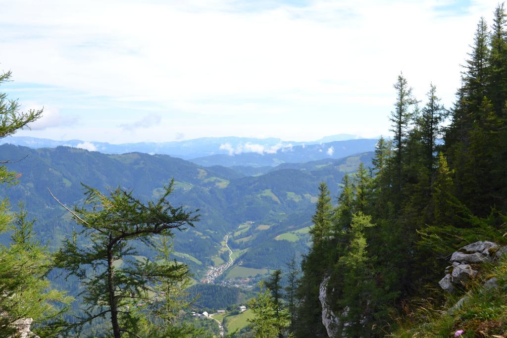 Pension Schweiger Gasen Extérieur photo